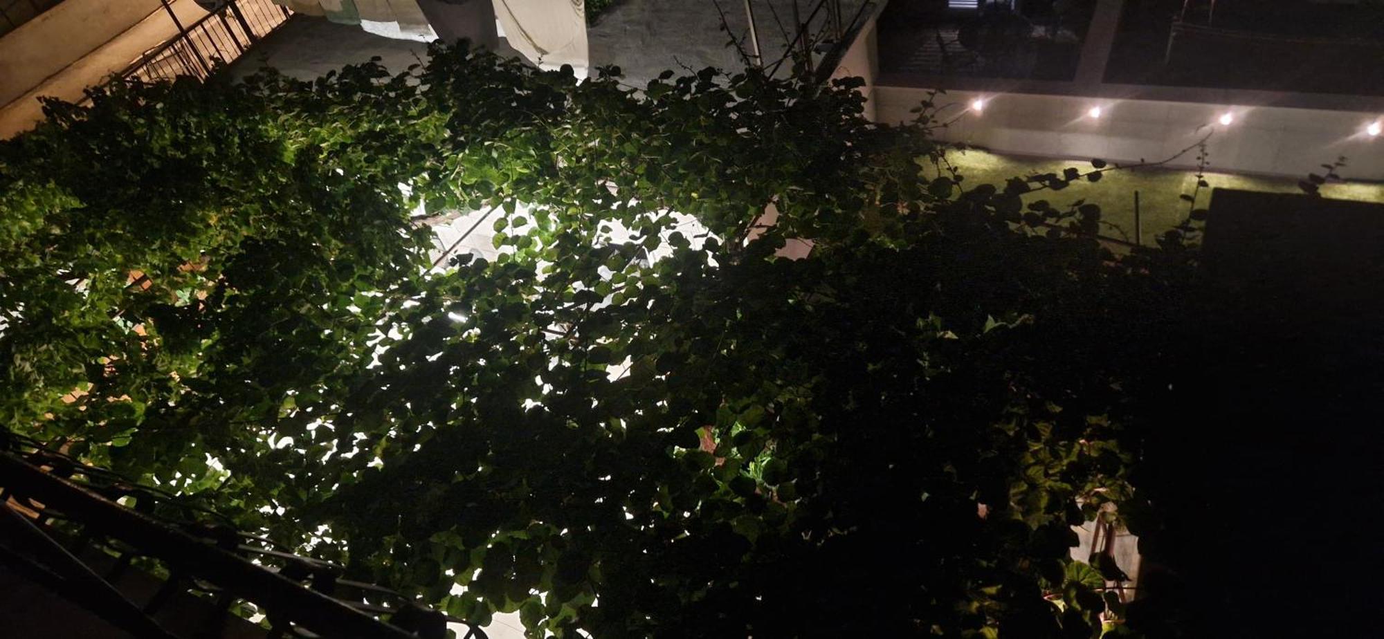 Palute Hotel Supetar Bagian luar foto