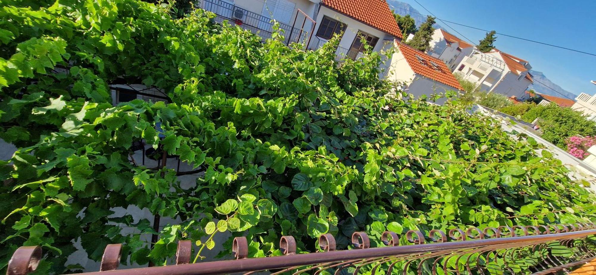 Palute Hotel Supetar Bagian luar foto